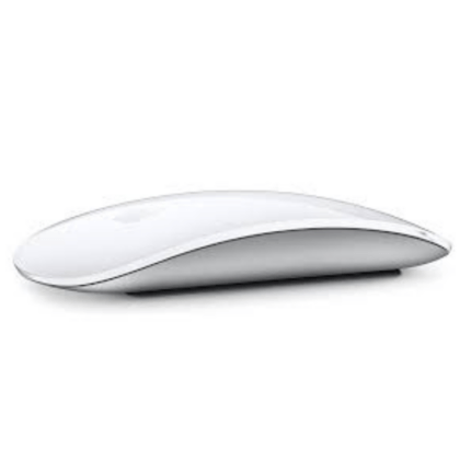 Magic Mouse 11”